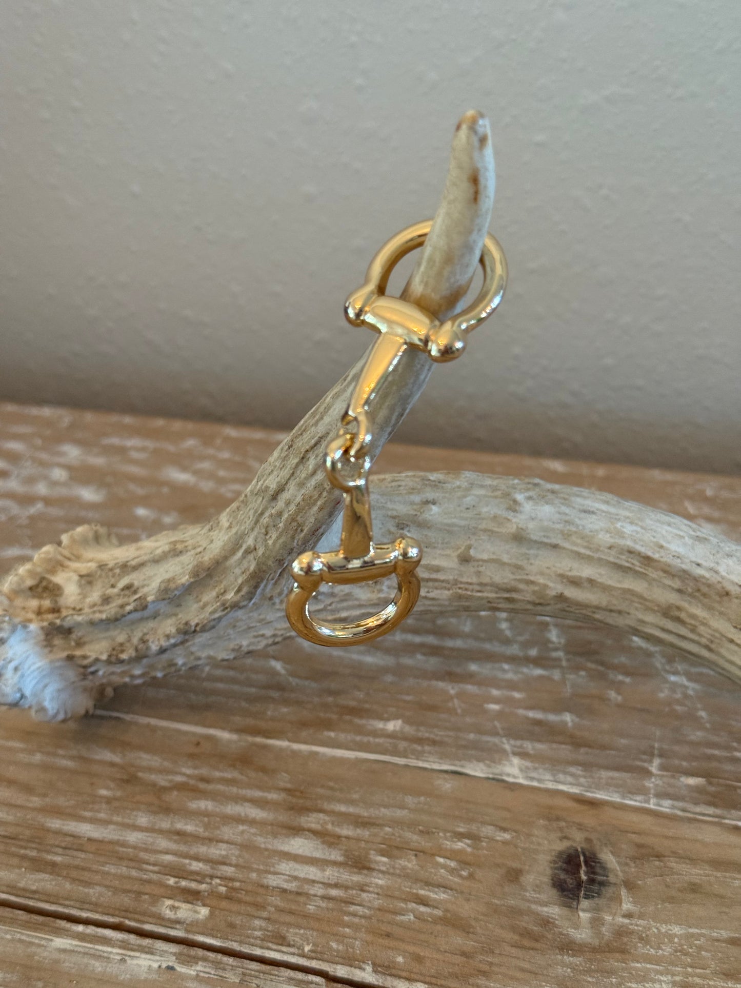 Gold or Silver Bit Wild Rag Slides