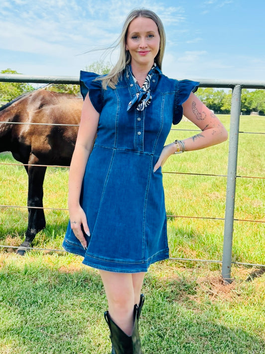 Denim Darling Dress
