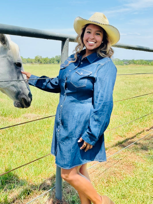 Classic Western Dress